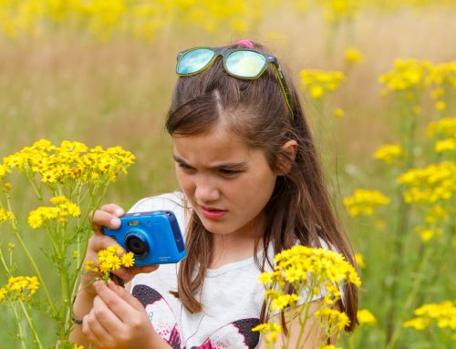 KidzKlix: fotograferen in de natuur